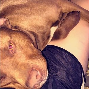 Meet your Posher, Annie